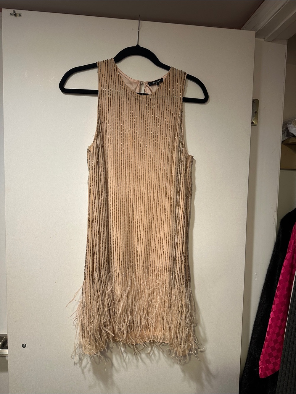 Parker Beige Feather Hem Sleeveless Cocktail Dress